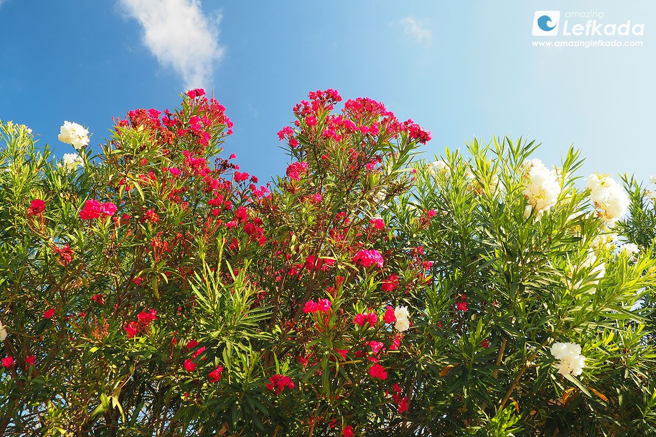 April weather of Lefkada with sun