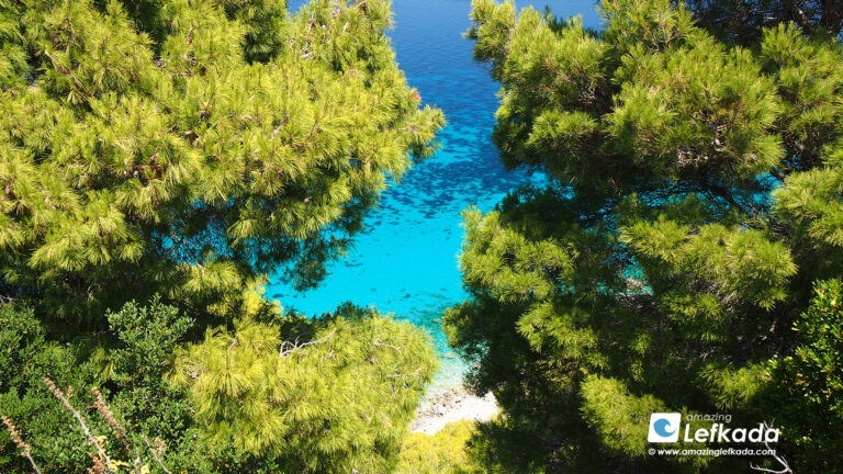 Flora of Lefkada Island