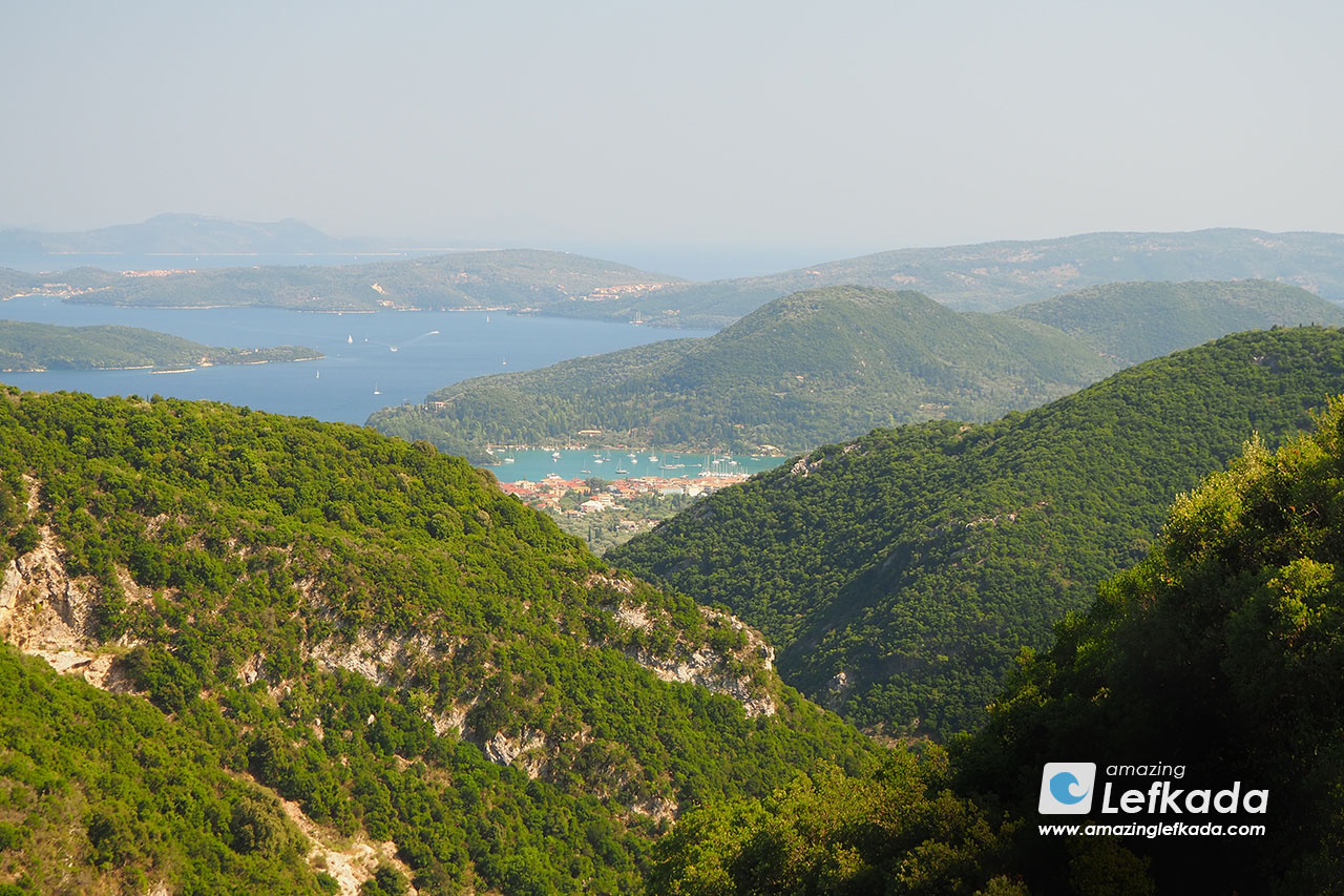 Flowers and trees in the mountains of Lefkada Island