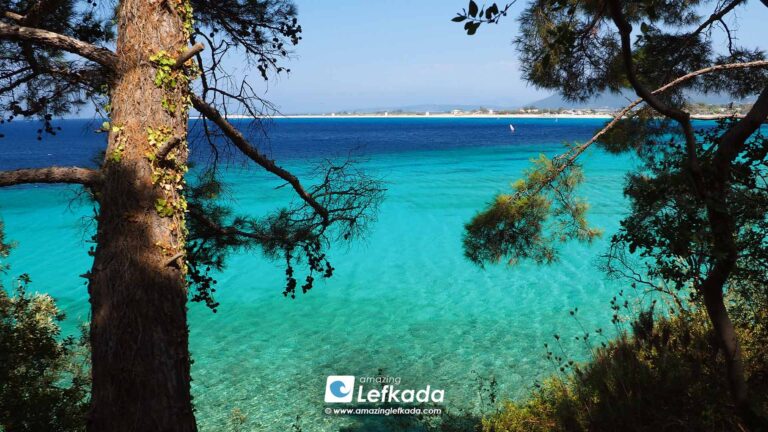 General Informations