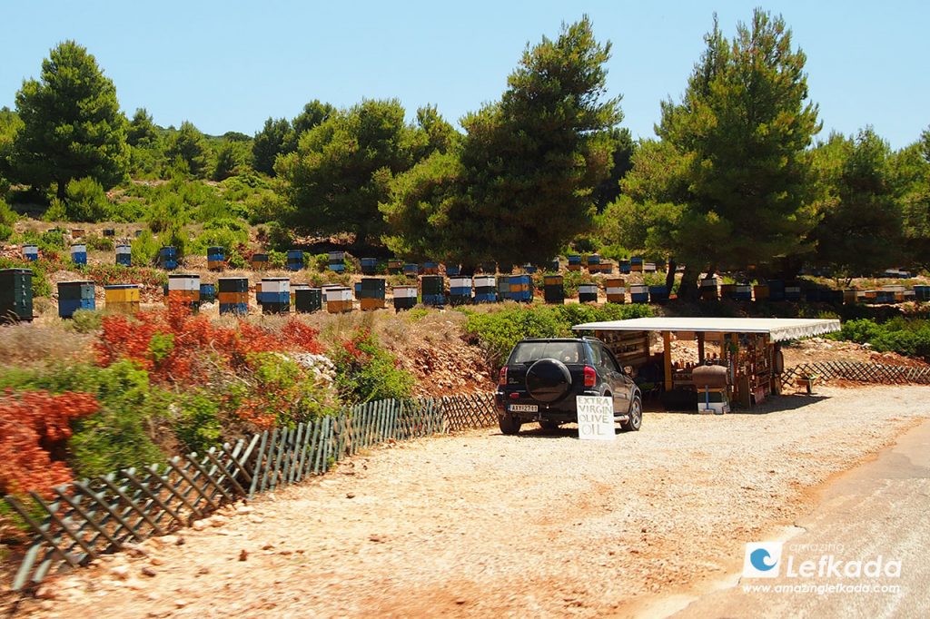 Bee product in Lefkada Island Lefkada bee products, honey produce