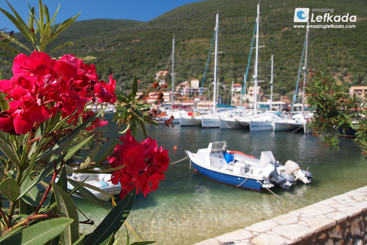 Flowers of Lefkada in Syvota village