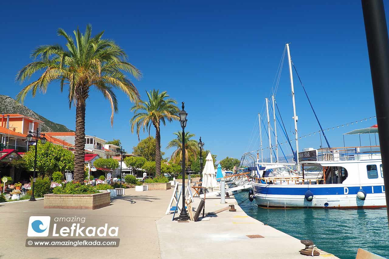 Palm trees in Nidri port