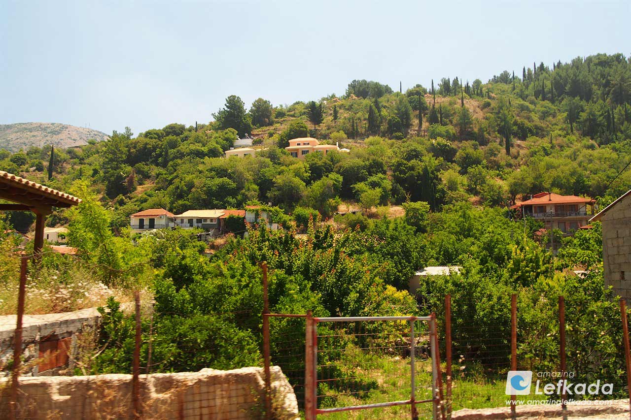 Hills of Kalamitsi with lush vegetation, pine and olive forests