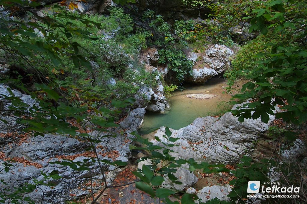 Scenic route in the forest